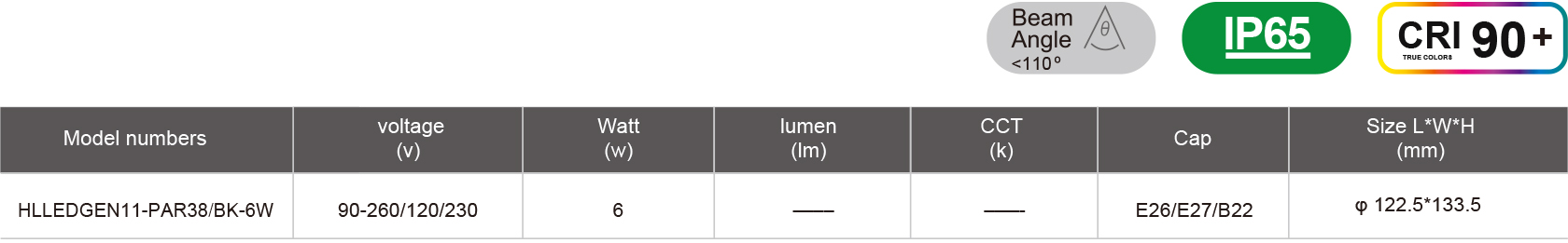 HLLEDGEN11-PAR38-BK-6W-規(guī)格表.jpg